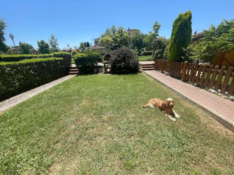 Casa Vacanza Villaggio Poggio Rosso Arezzo Dış mekan fotoğraf